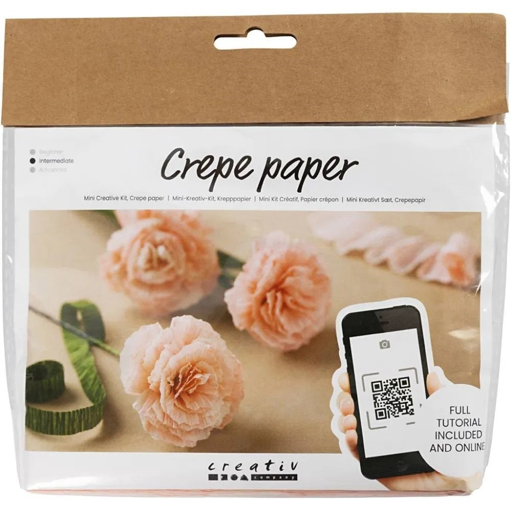 Crêpe papieren bloemen kit mini