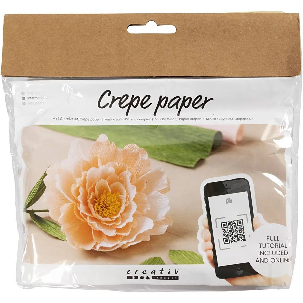 Crêpe papieren bloemen kit mini