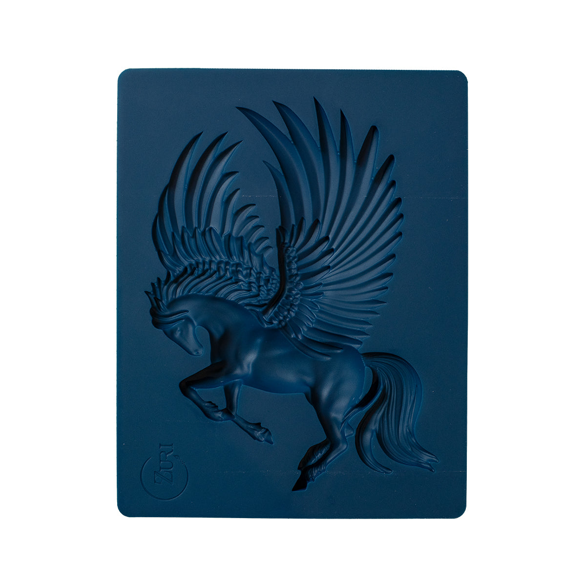28_PEGASUS FLIGHT